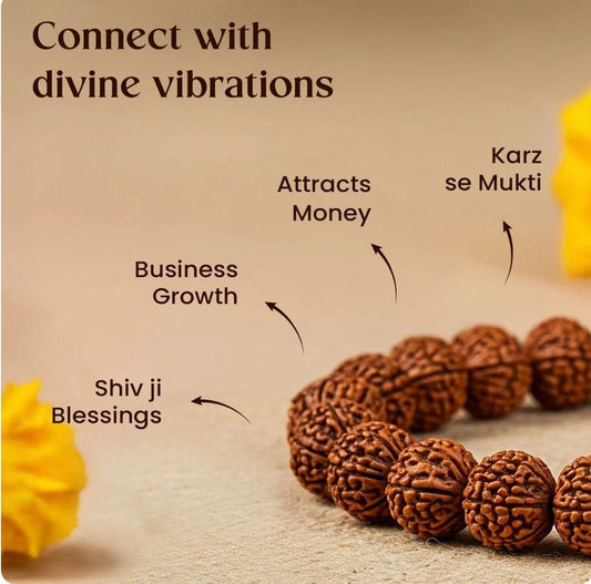 7 Mukhi Rudraksha Bracelet www.trikaro.com