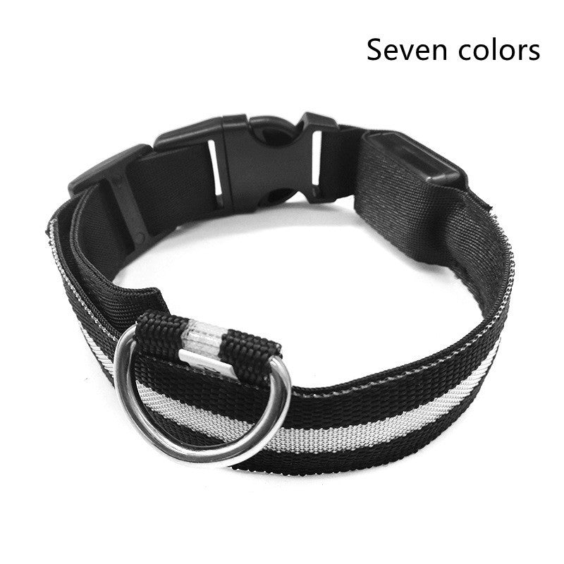 Nylon LED Pet Dog Luminous Collar Night Safety Flashing Glow in Dark Dog Cat Leash Adjustable Pet Supplies by www.trikaro.com