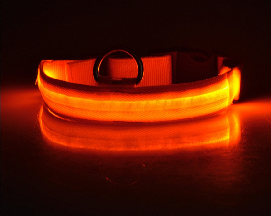 Nylon LED Pet Dog Luminous Collar Night Safety Flashing Glow in Dark Dog Cat Leash Adjustable Pet Supplies by www.trikaro.com