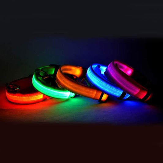 Nylon LED Pet Dog Luminous Collar Night Safety Flashing Glow in Dark Dog Cat Leash Adjustable Pet Supplies by www.trikaro.com