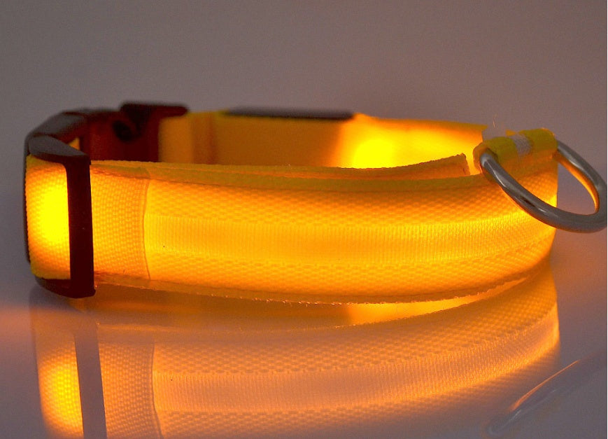 Nylon LED Pet Dog Luminous Collar Night Safety Flashing Glow in Dark Dog Cat Leash Adjustable Pet Supplies by www.trikaro.com