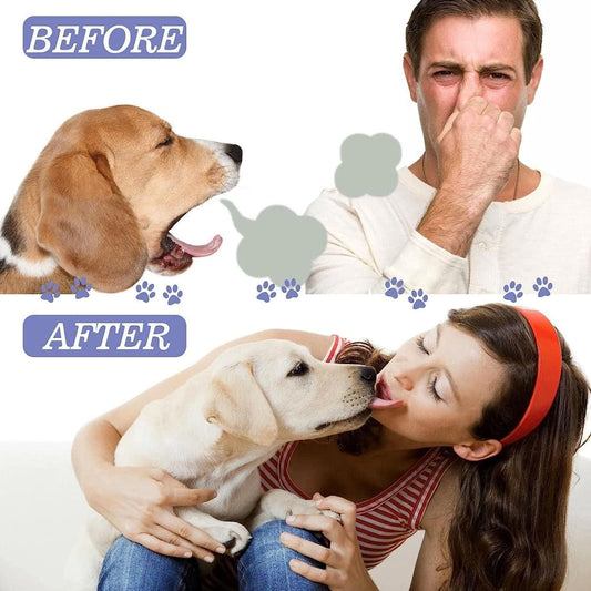 Petry Teeth Cleaning Spray for Dogs & Cats 100ml (Pack of 2) www.trikaro.com