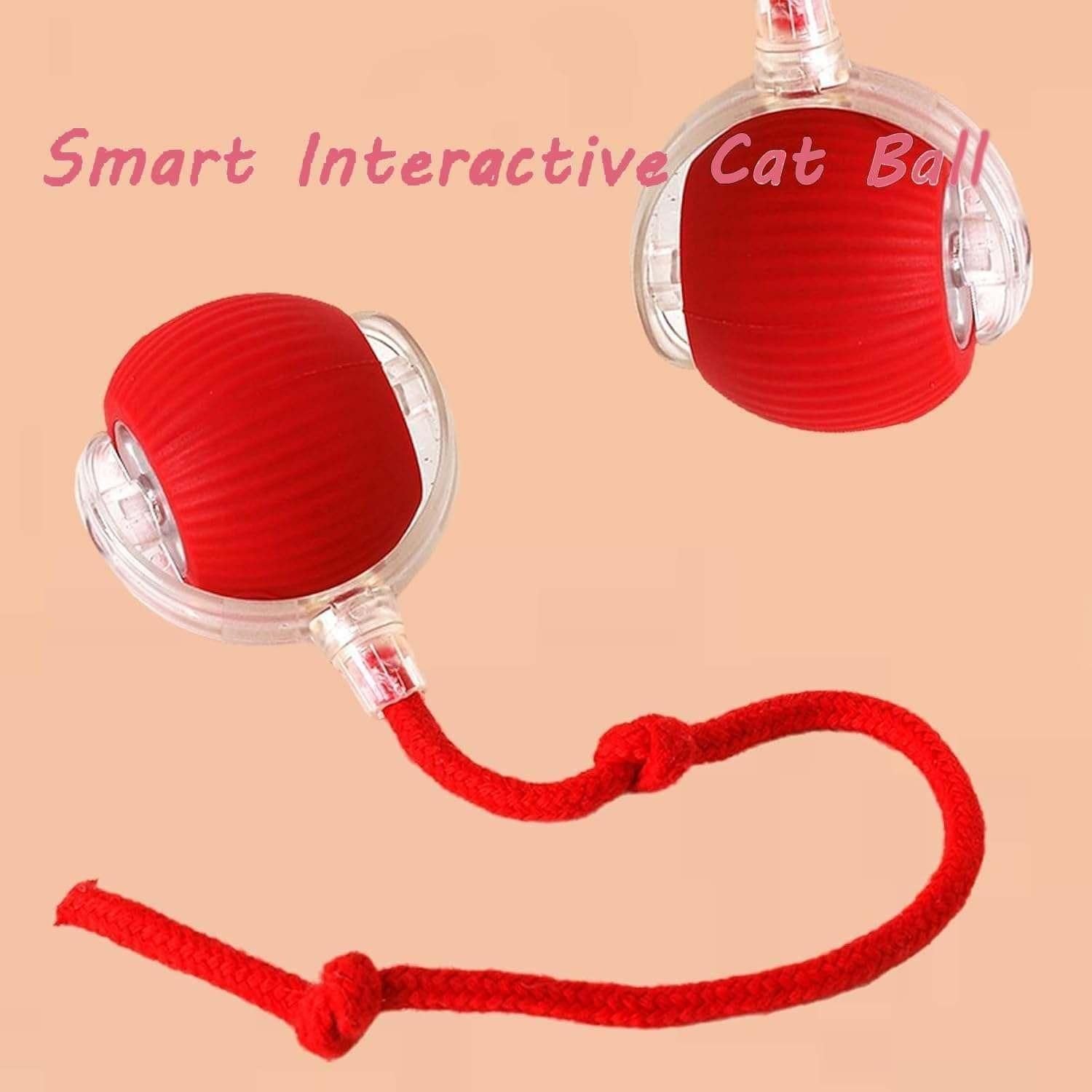 Viral Rolling Ball,Interactive Cat Ball Toy www.trikaro.com