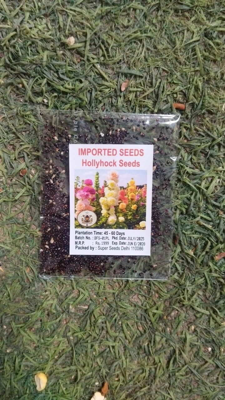 Imported Hollyhock Seeds www.trikaro.com