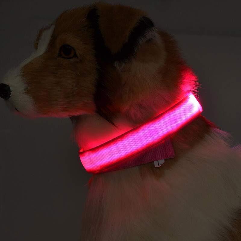 Nylon LED Pet Dog Luminous Collar Night Safety Flashing Glow in Dark Dog Cat Leash Adjustable Pet Supplies by www.trikaro.com
