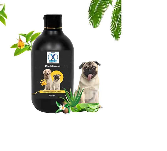 Anti-Itch Dog Shampoo|Ditch to Itch 300ml Pack of 1 www.trikaro.com