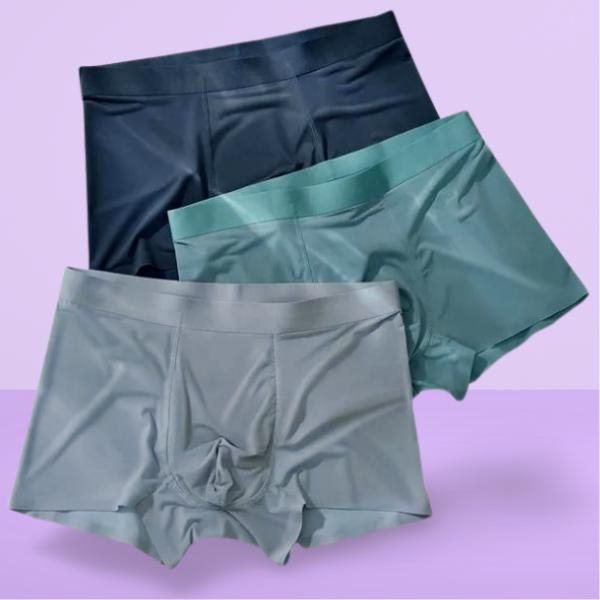 Men's Ice Silk Briefs Boxers (Pack of 3) by www.trikaro.com