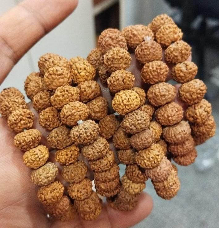 7 Mukhi Rudraksha Bracelet www.trikaro.com