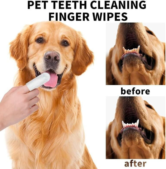 Disposable Dental Finger Wipes For Pets www.trikaro.com