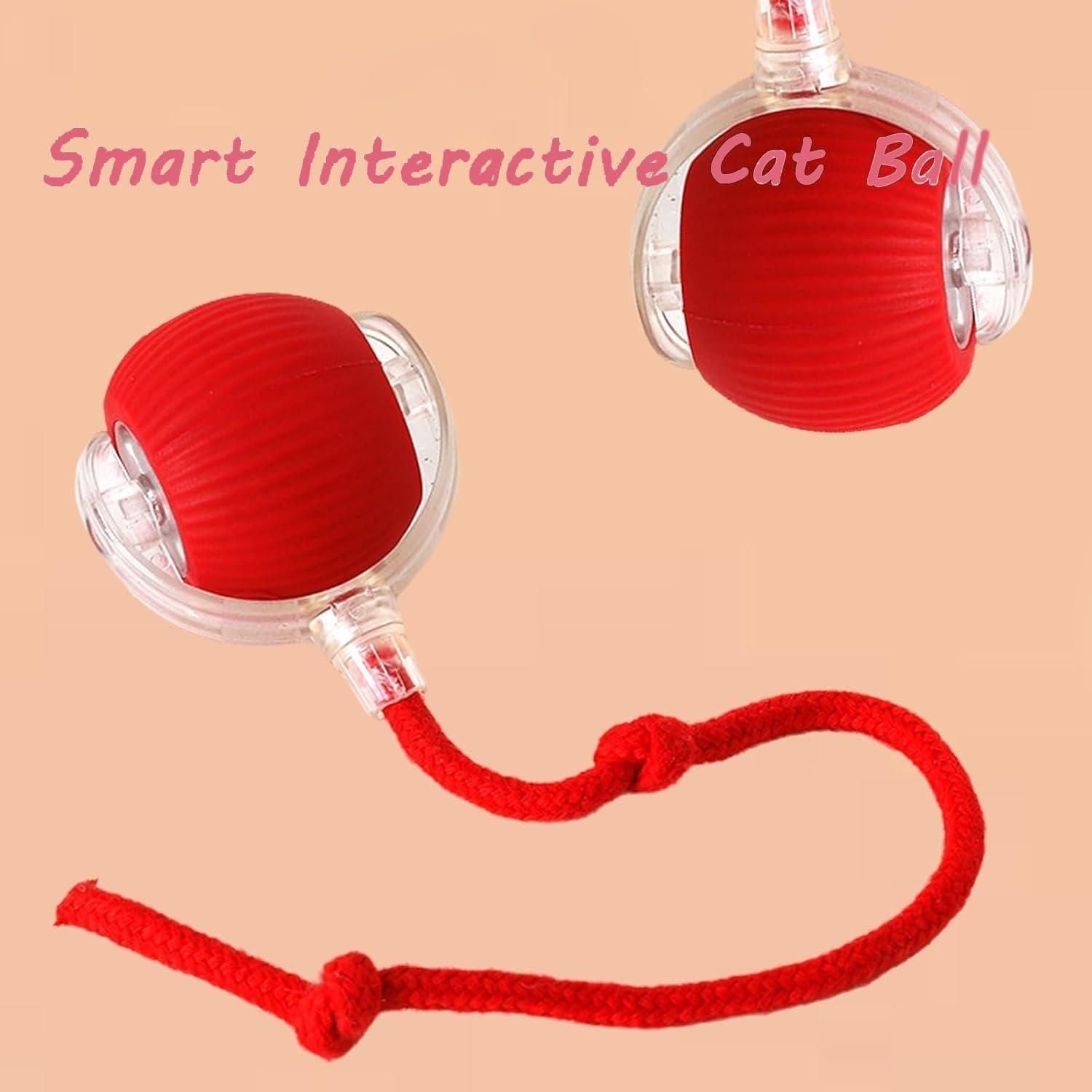 Viral Rolling Ball,Interactive Cat Ball Toy www.trikaro.com
