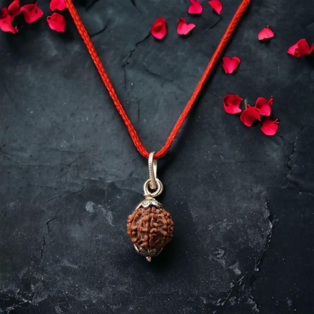 7 Mukhi Nepali Rudraksha www.trikaro.com