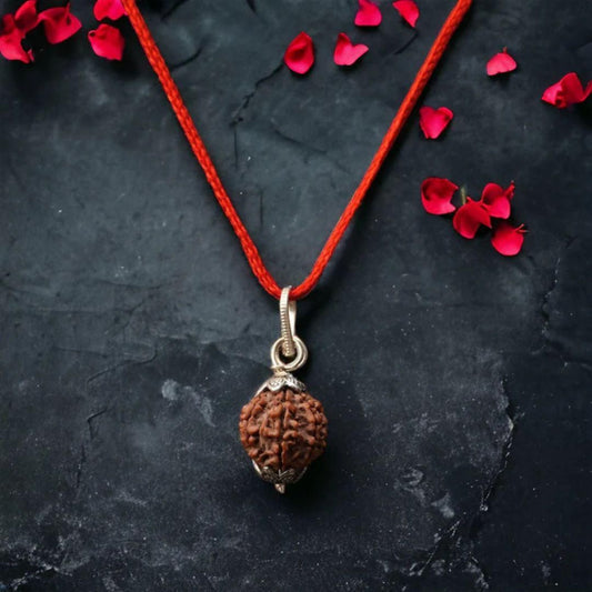7 Mukhi Nepali Rudraksha www.trikaro.com