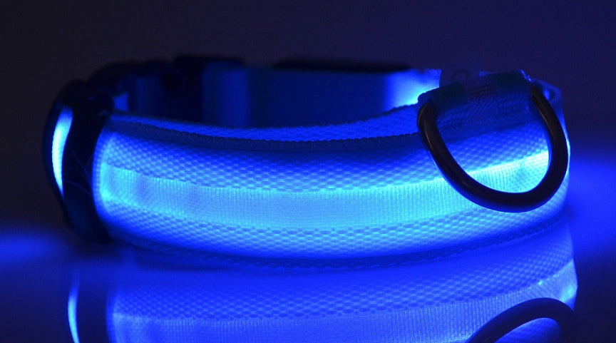 Nylon LED Pet Dog Luminous Collar Night Safety Flashing Glow in Dark Dog Cat Leash Adjustable Pet Supplies by www.trikaro.com