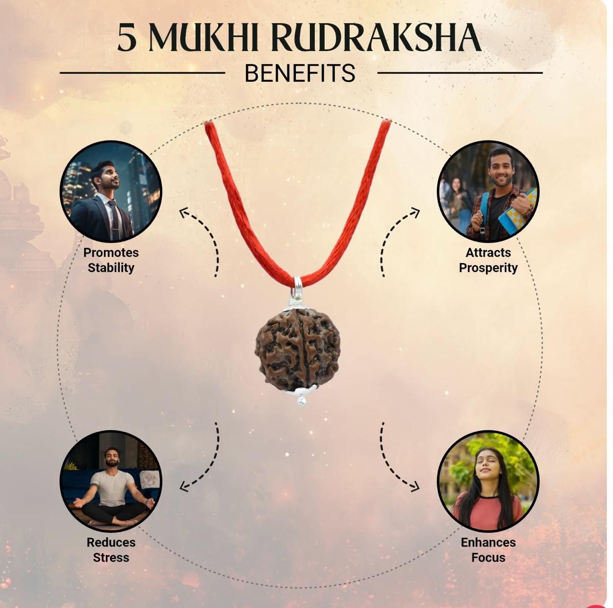 Maha SHivratri Combo - 5 Mukhi Rudraksha With Bracelet www.trikaro.com