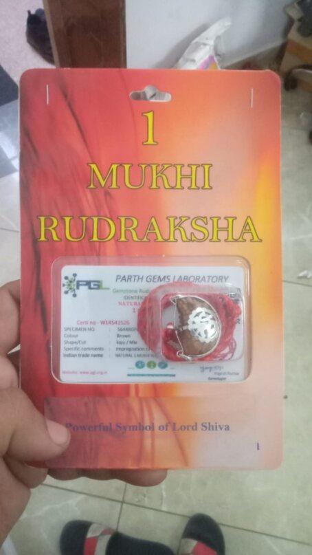 The Divine One Mukhi Rudraksha For Women & Girls www.trikaro.com
