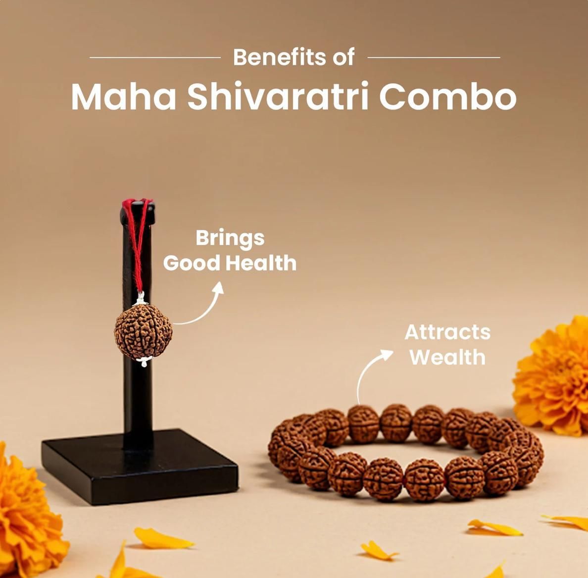 Maha SHivratri Combo - 5 Mukhi Rudraksha With Bracelet www.trikaro.com