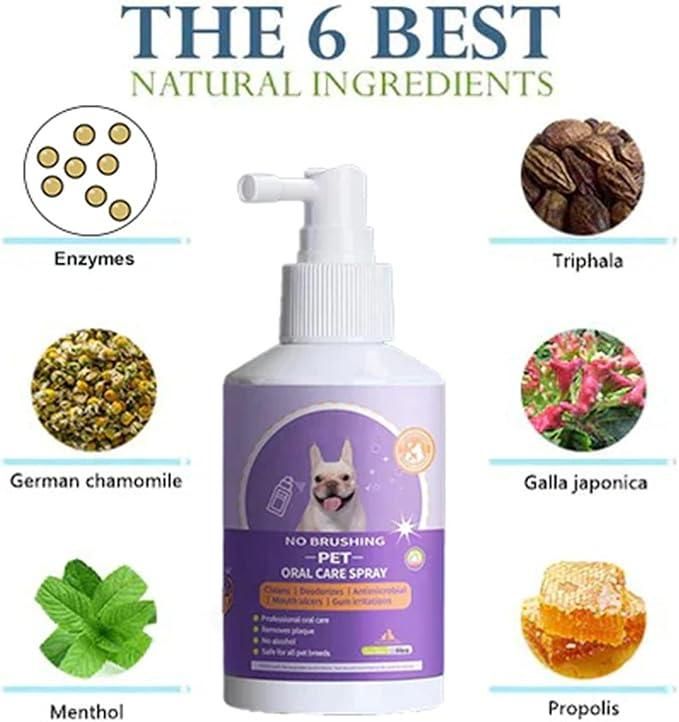 No Brushing Pet Oral Care Spray 100ml Pack of 2 www.trikaro.com