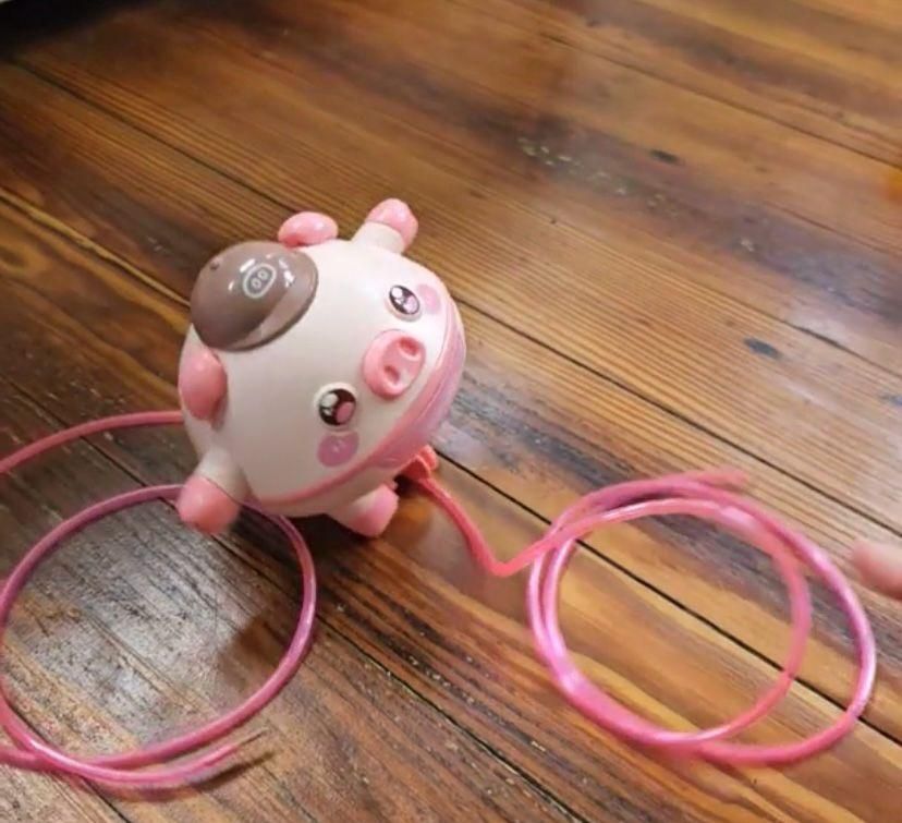 Tightrope Walking Tumbler Pig Walking Tightrope for Children www.trikaro.com