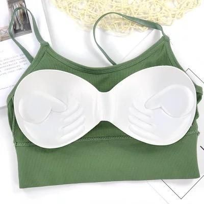 Seamless Padded Bra Pack of 2 www.trikaro.com