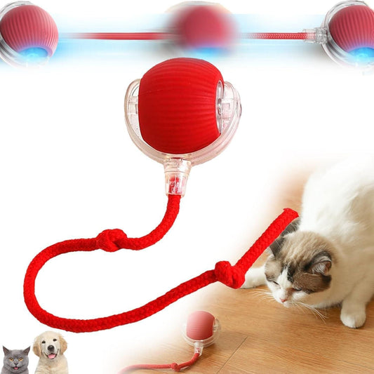 Viral Rolling Ball,Interactive Cat Ball Toy www.trikaro.com