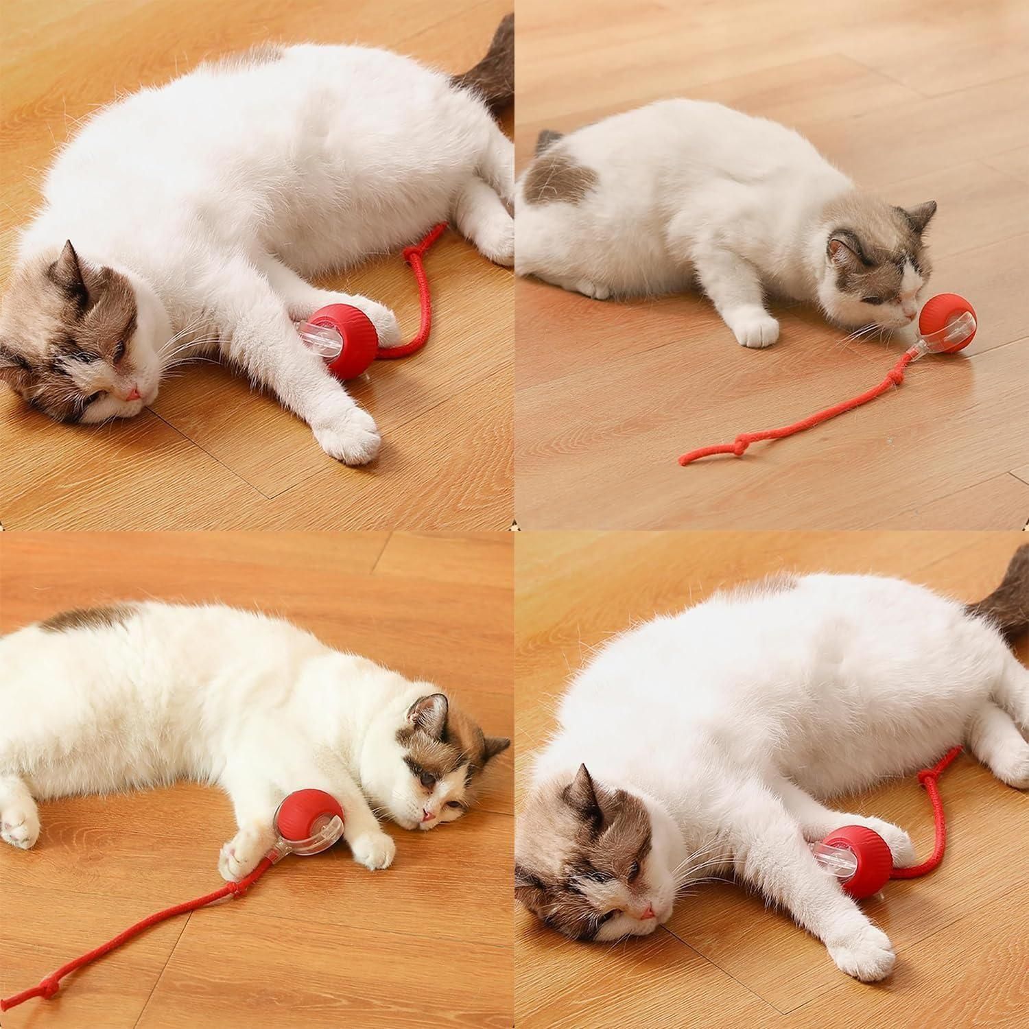 Viral Rolling Ball,Interactive Cat Ball Toy www.trikaro.com