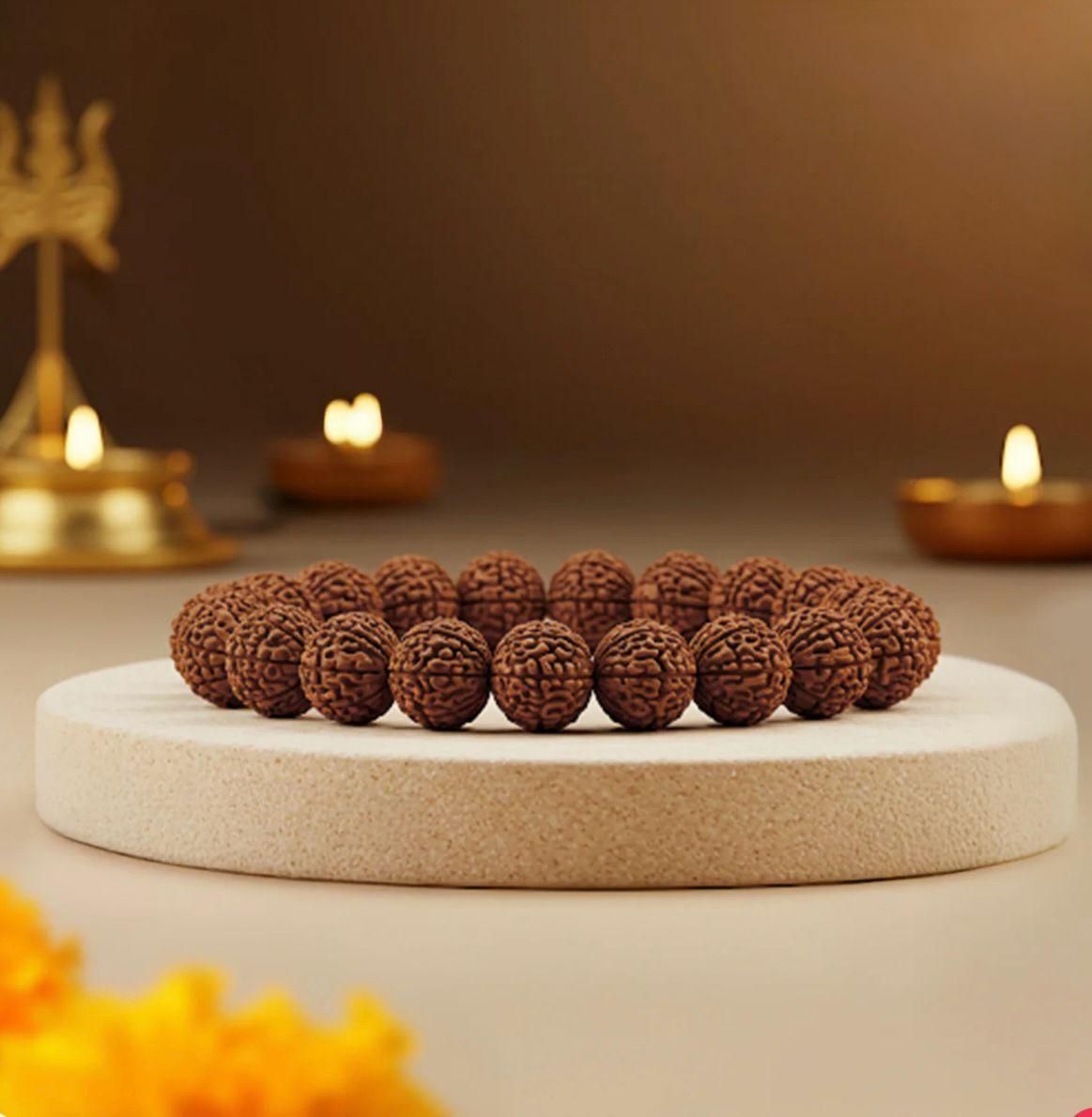 5 Mukhi Rudraksha Bracelet www.trikaro.com